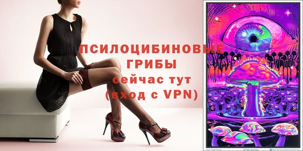 спиды Медвежьегорск