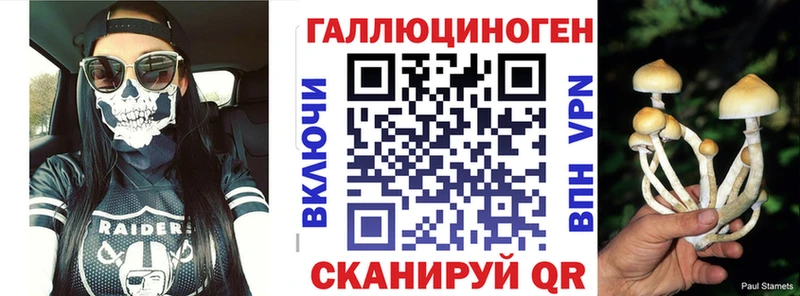 Купить закладки Щёкино Псилоцибиновые грибы Psilocybine cubensis
